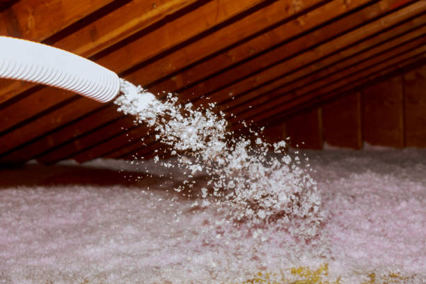Best Cellulose Insulation in Willow Springs, MO