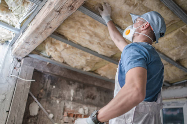 Types of Insulation We Offer in Willow Springs, MO