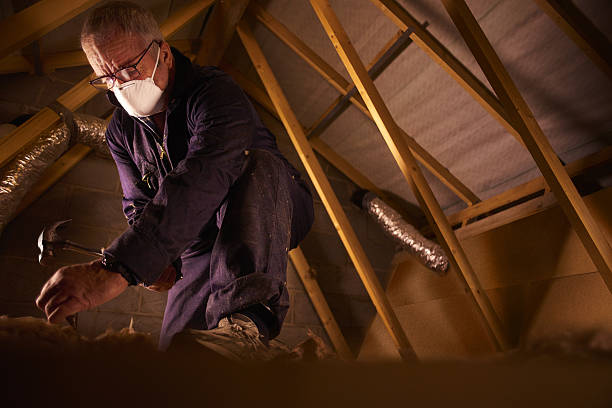 Best Blown-in Insulation in Willow Springs, MO